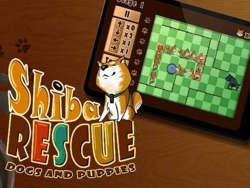 shiba-rescue-dogs-and-puppies