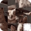 cat-puzzle
