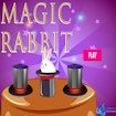magic-rabbit