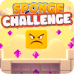 sponge-challenge