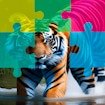 tiger-jigsaw-image-challenge