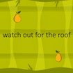 watch-out-for-the-roof